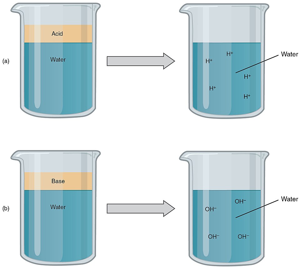Acid-Base Control reference figure