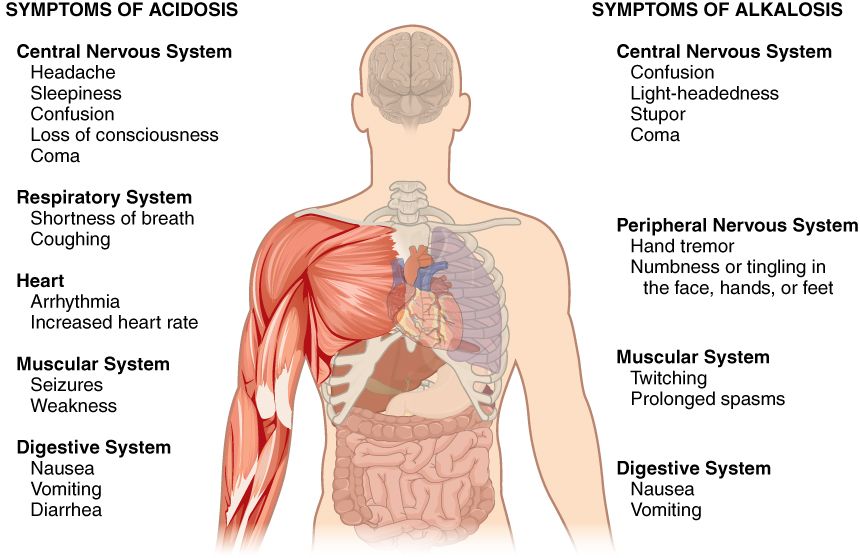 Acid-Base Disorders reference figure