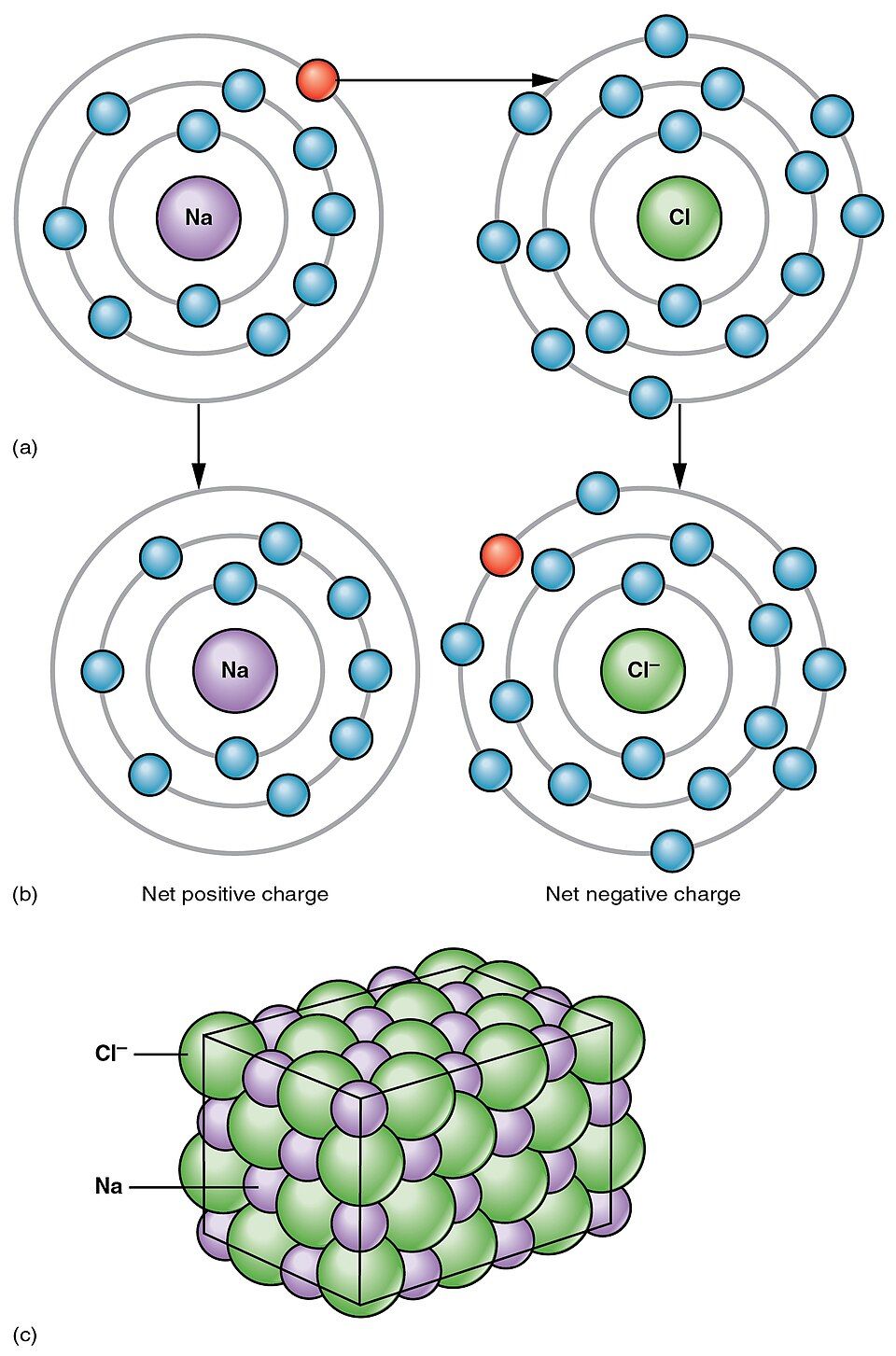 Chemical bonds reference figure