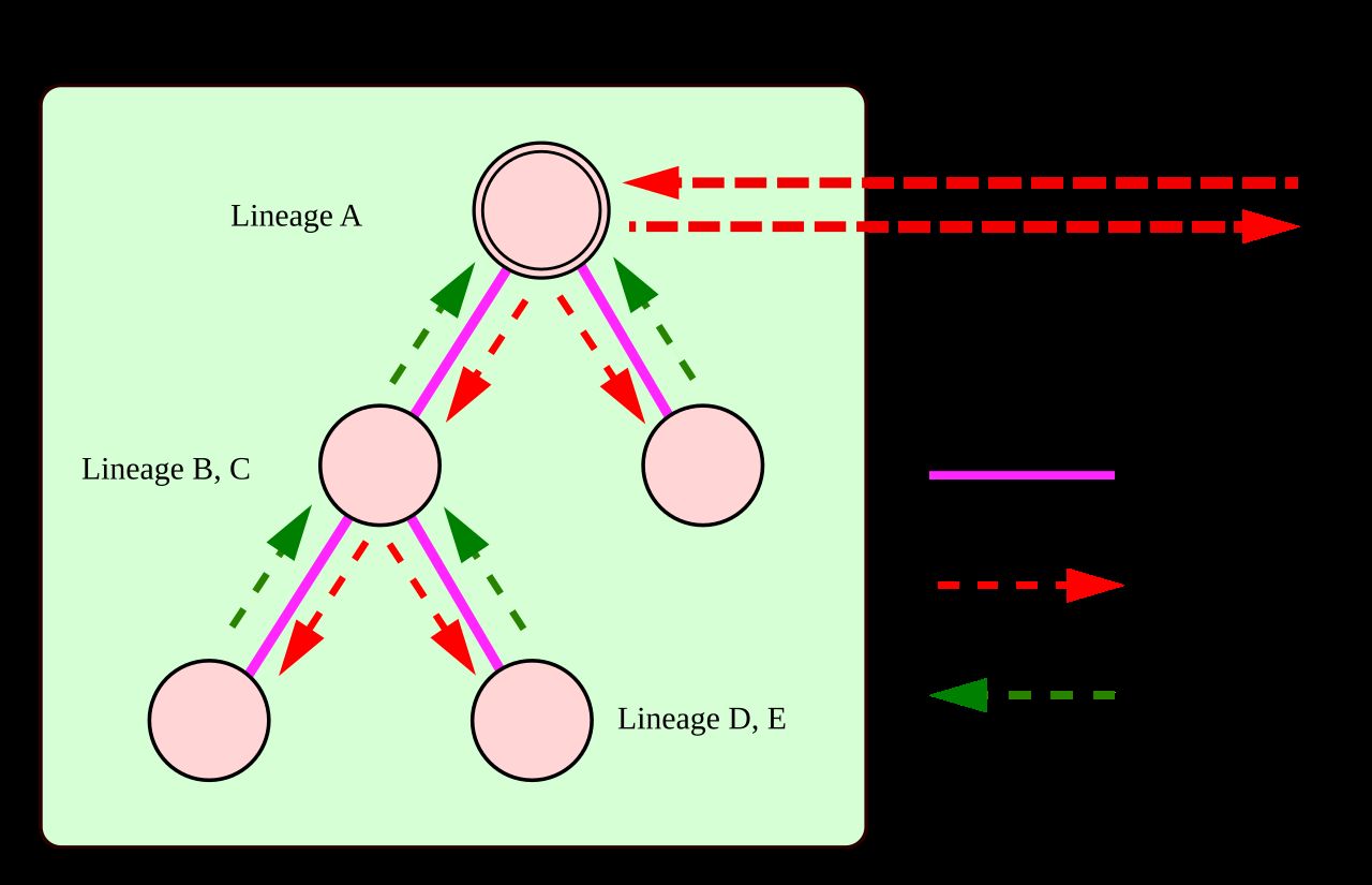 Diagram of a prestige goods system showing how valued objects mark status