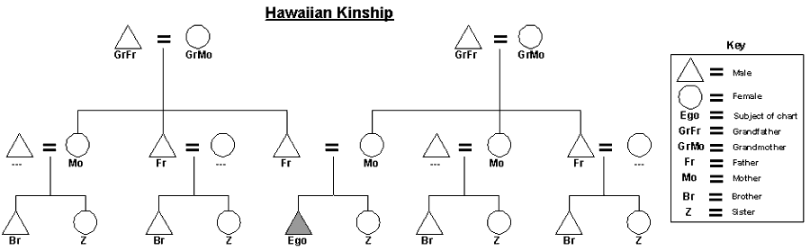 Diagram of the Hawaiian kinship terminology system