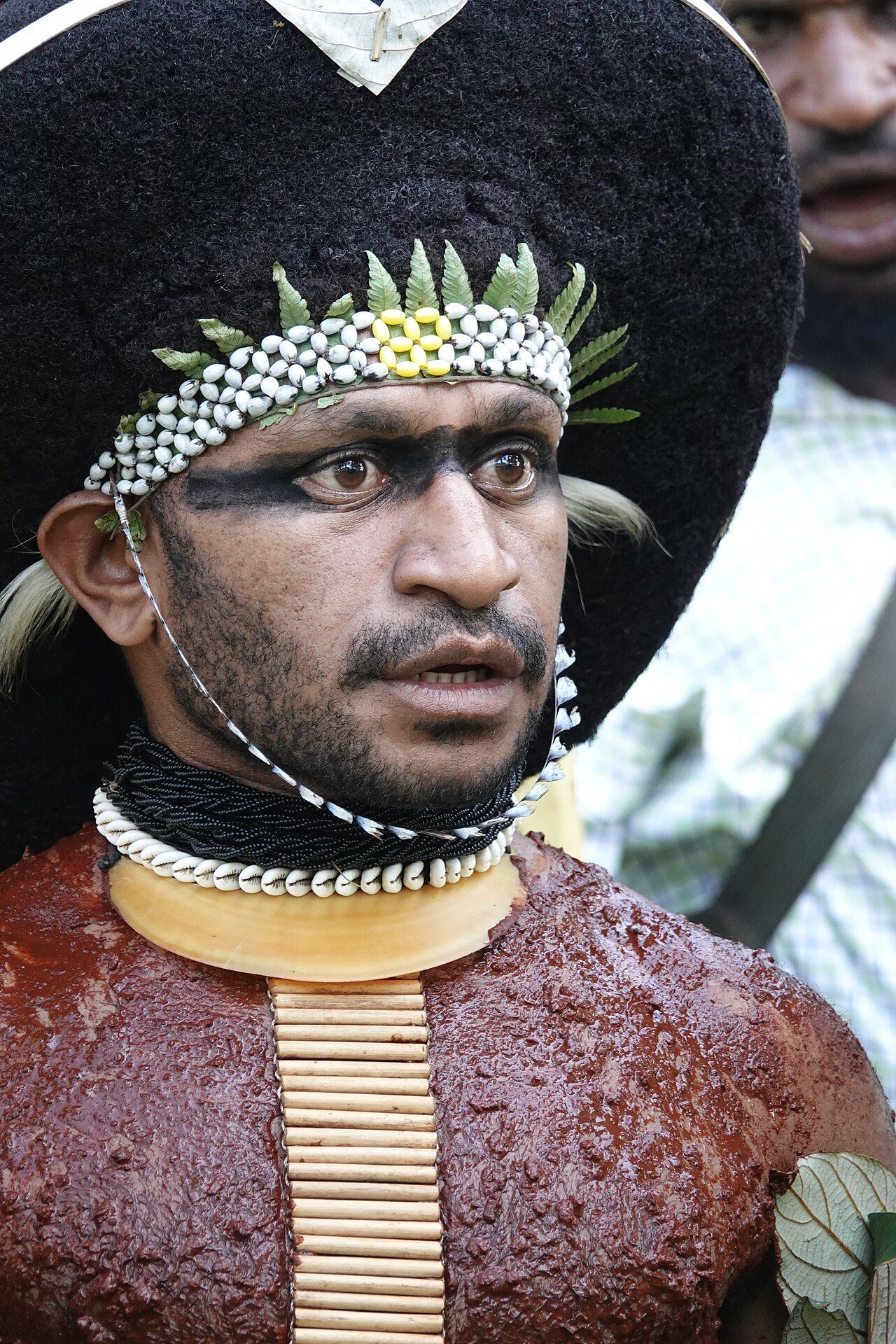An Enga man of the Papua New Guinea highlands in traditional dress