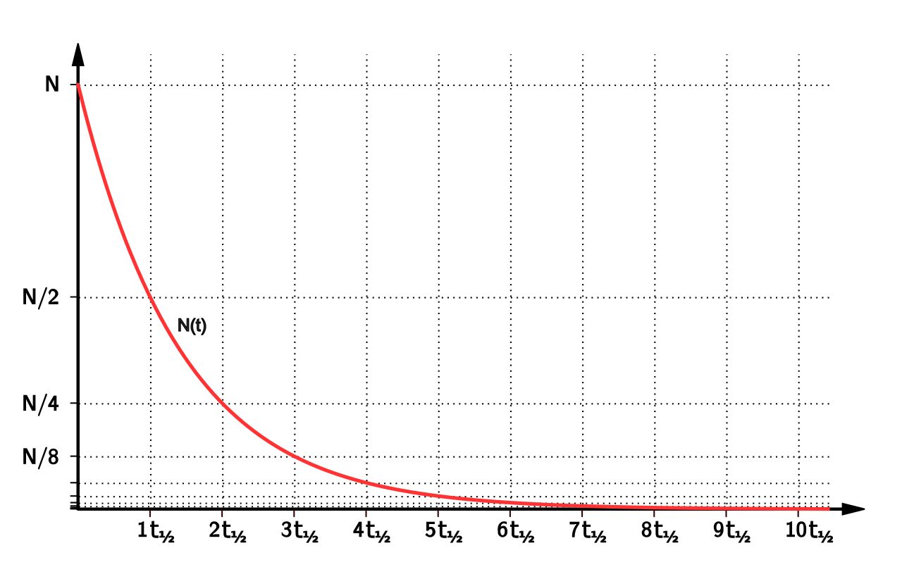 Exponential decay curve marked with successive half-lives showing the quantity halving each interval