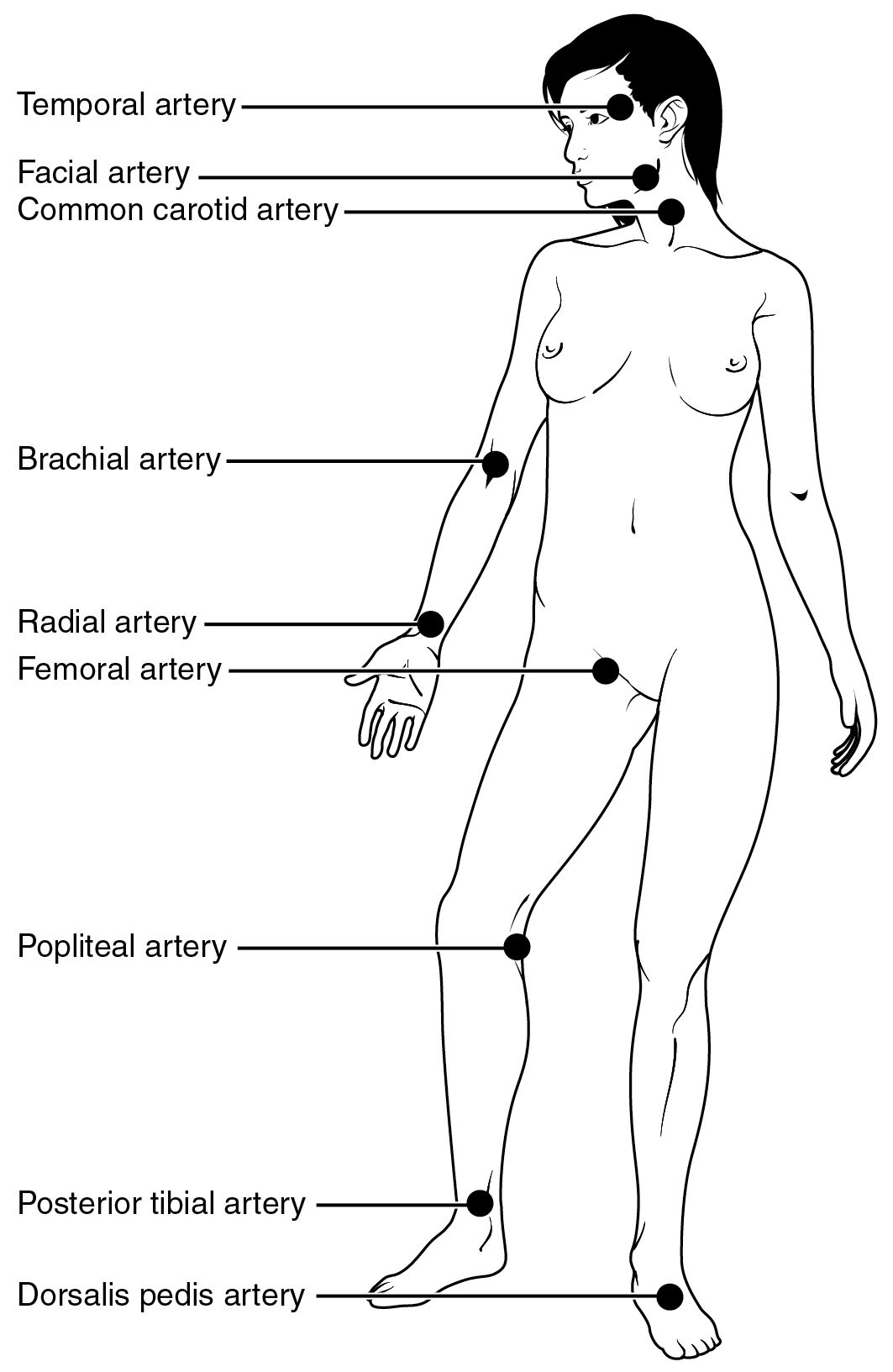 Close view of a nurse palpating a patient radial pulse with two fingertips while watching a wristwatch second hand