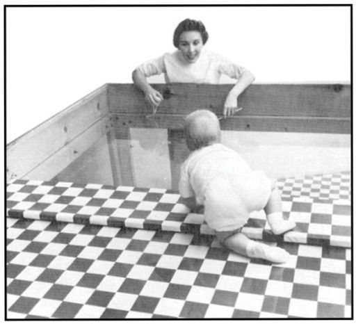 An infant on the shallow side of a visual cliff apparatus, hesitating at the apparent drop-off