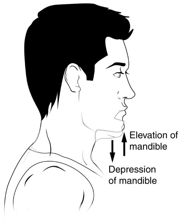 A person seated alone by a window with head lowered and shoulders rounded, illustrating the withdrawn posture and psychomotor slowing of severe depression