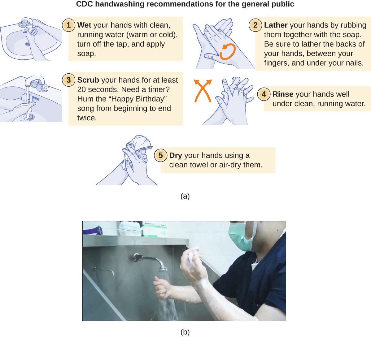 Proper hand-washing technique, the foundation of standard precautions