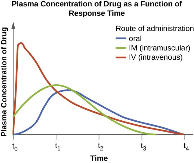 Graph of drug plasma concentration over time relative to the therapeutic range