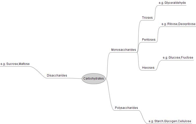Carbohydrate-rich foods and the sugar molecules they are built from