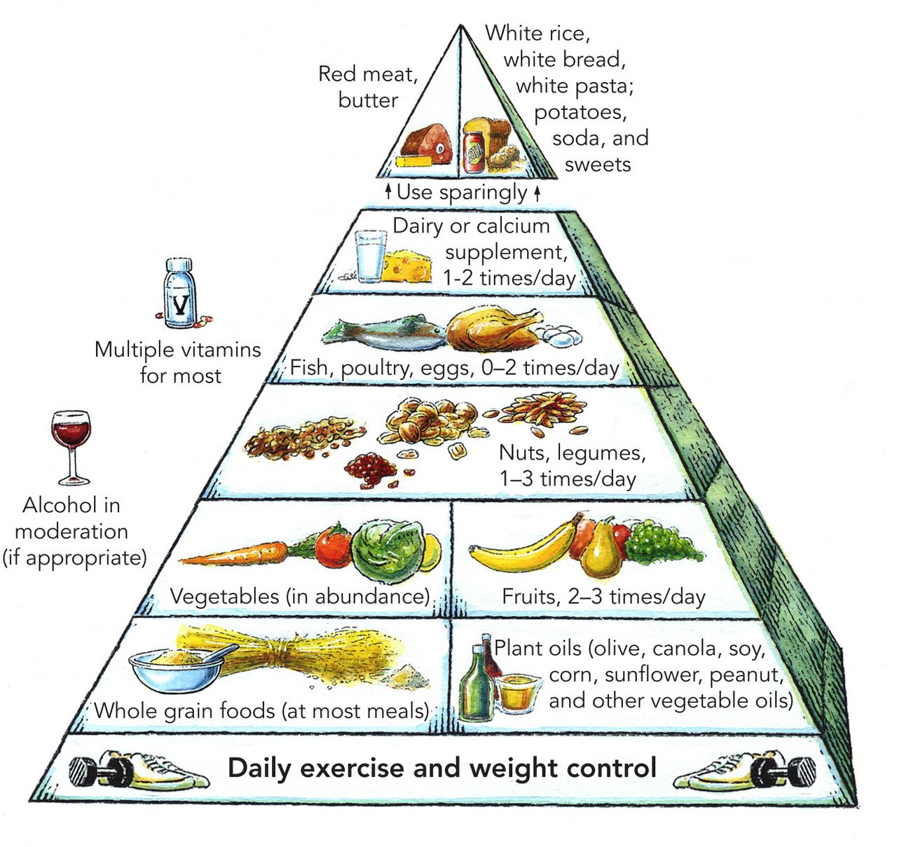 Food guide graphic showing whole grains and vegetables as dietary foundations