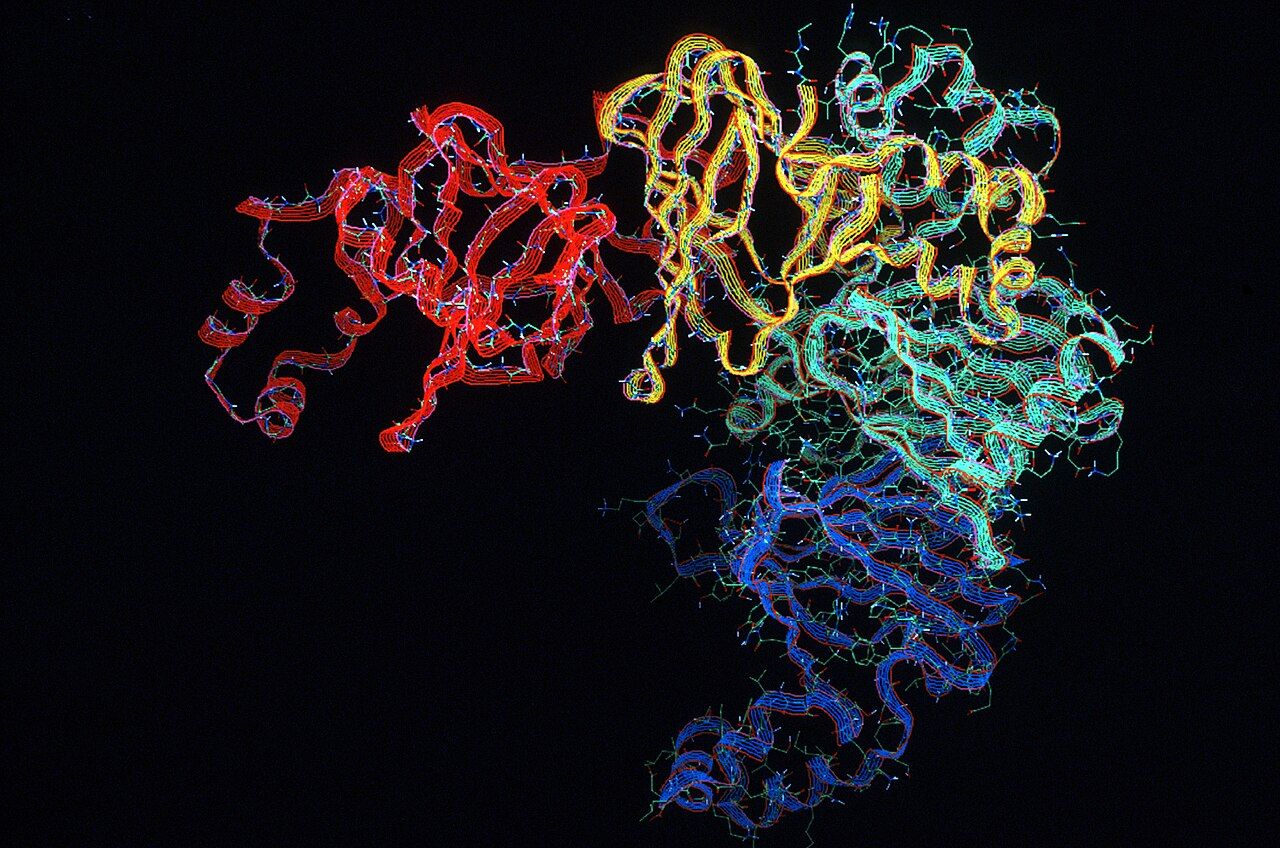 Molecular rendering of a folded protein backbone showing coils and sheets