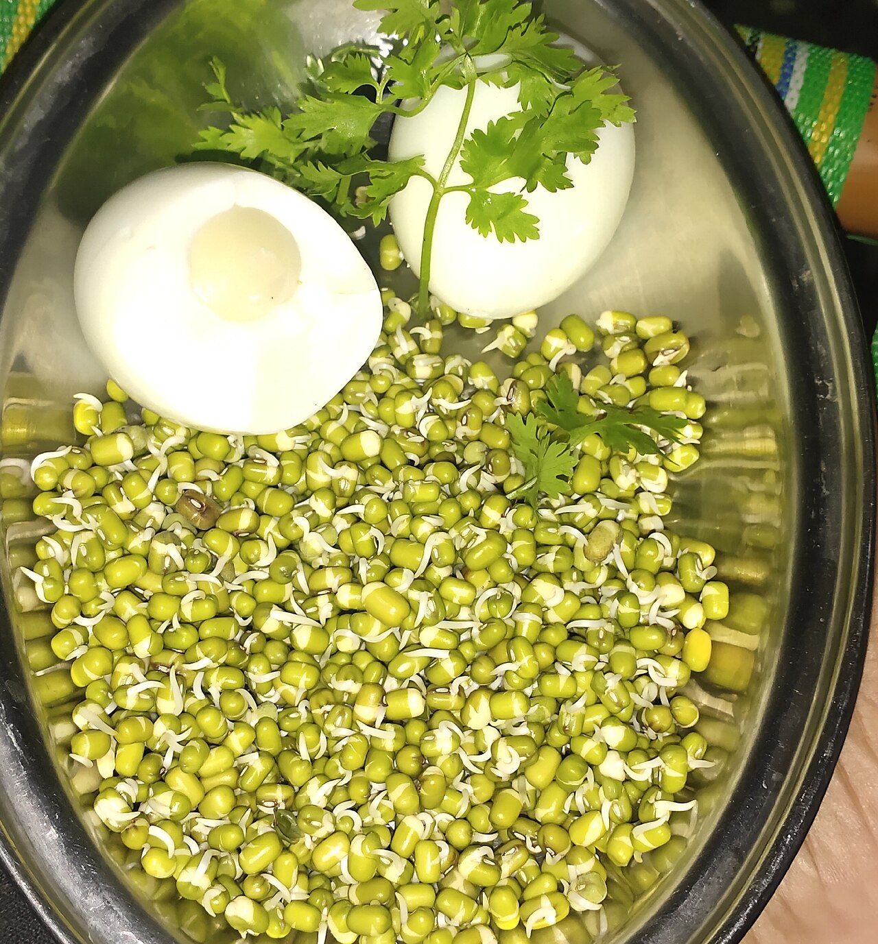 An assortment of protein-rich foods including eggs, legumes, fish, dairy, nuts, and meat