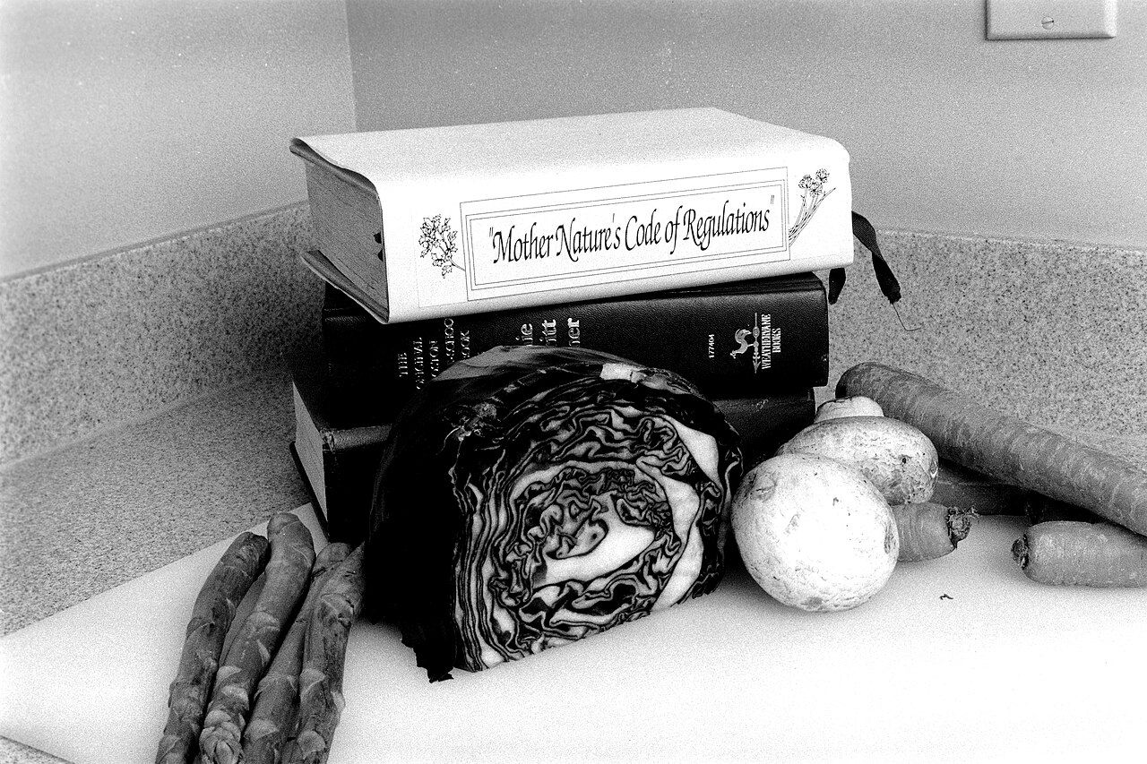 Photograph illustrating the need for separate cutting boards in a kitchen