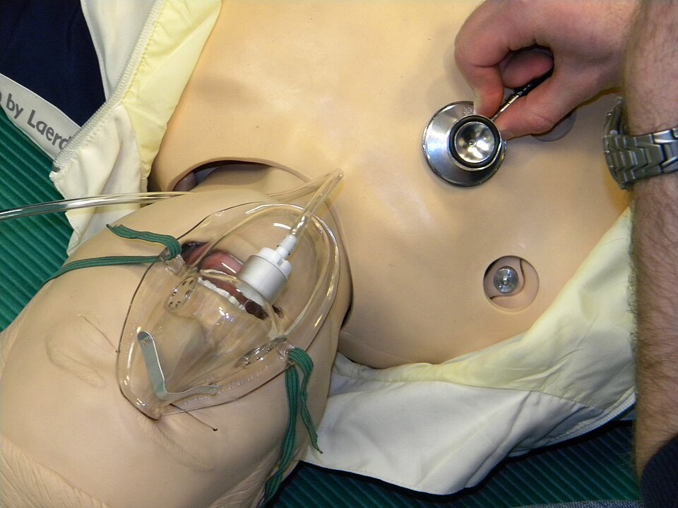 Lung assessment reference figure