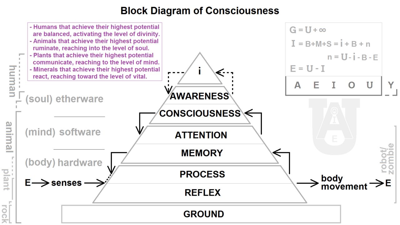 A diagram illustrating levels of consciousness and awareness