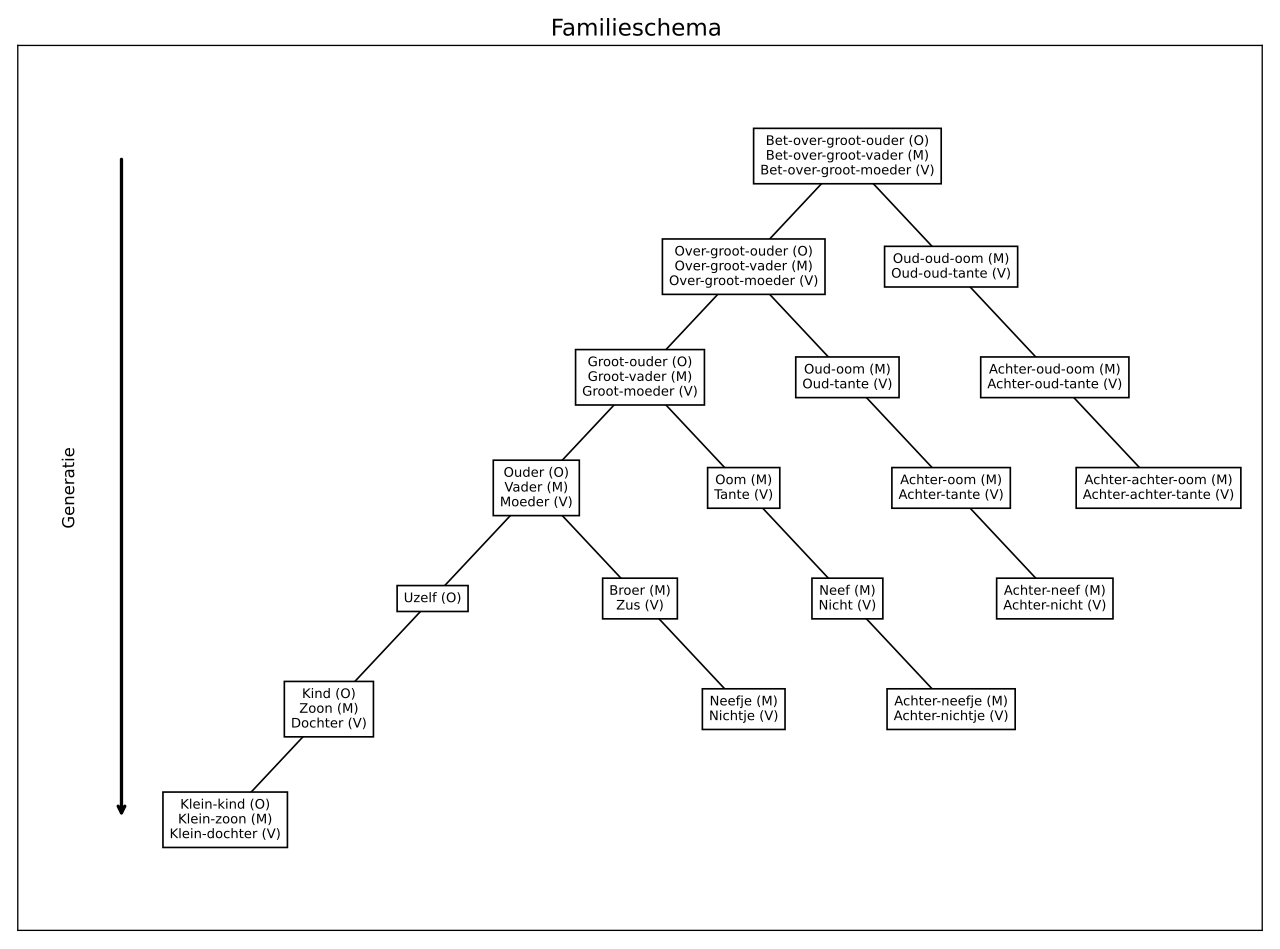 Diagram of family and kinship relationships across generations